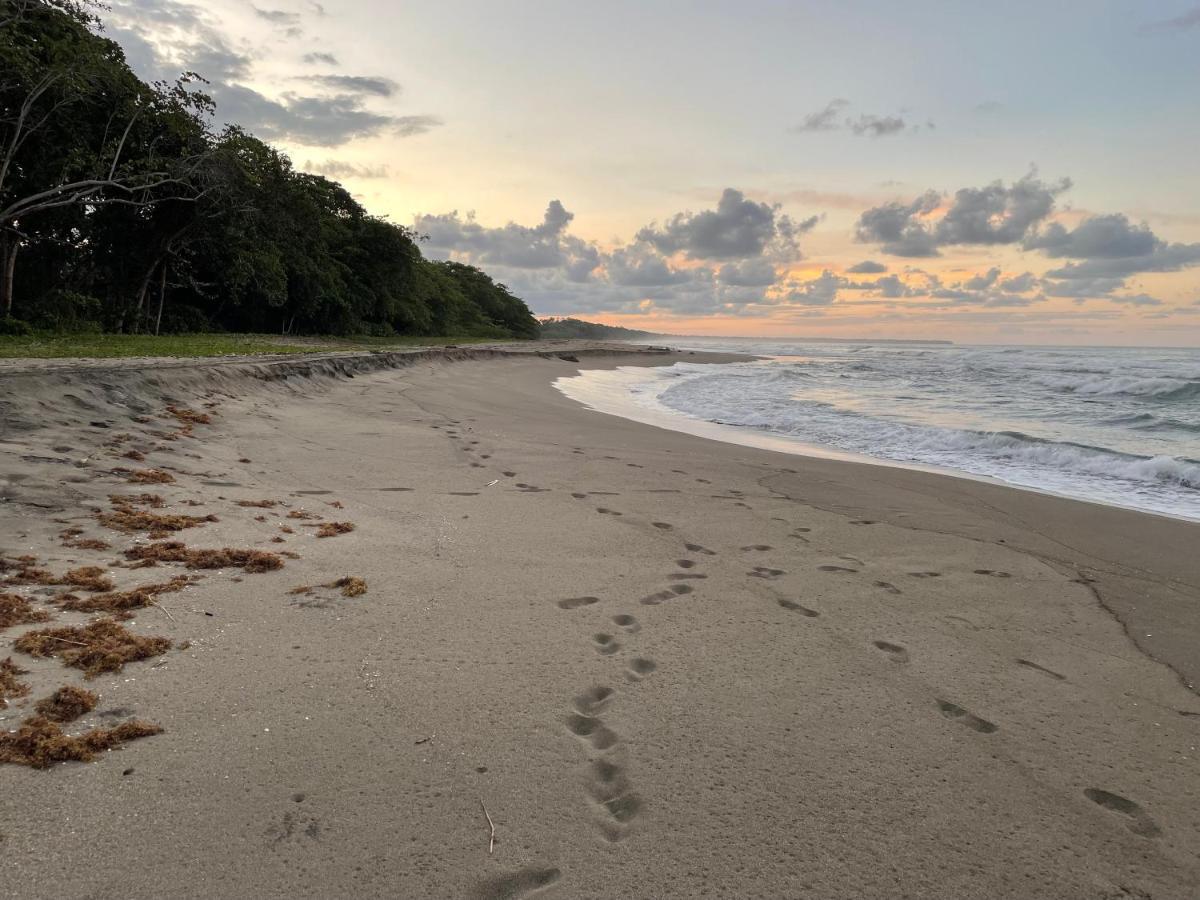 Perla Negra Beachfront Puerto Viejo de Talamanca Екстер'єр фото