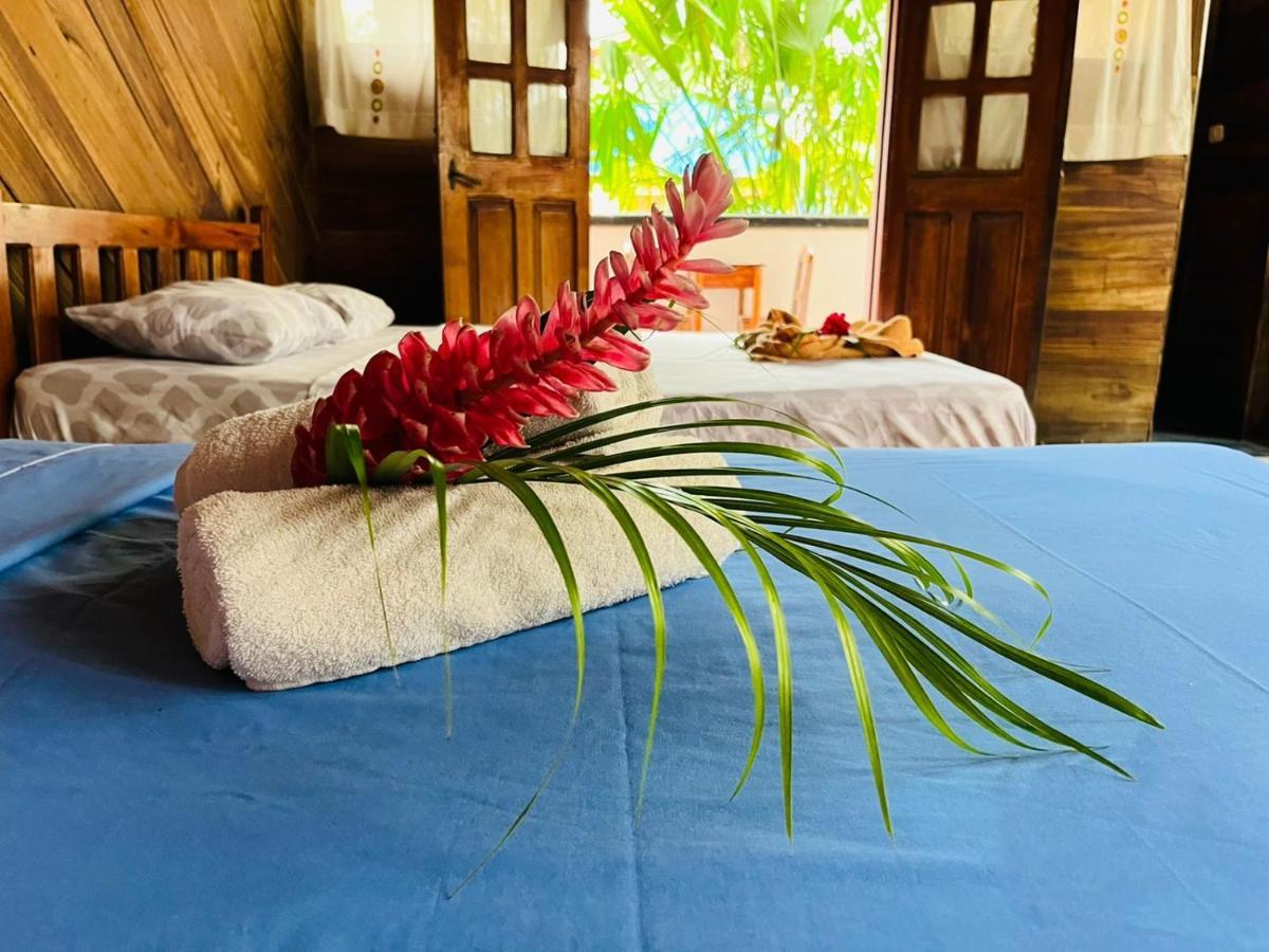 Perla Negra Beachfront Puerto Viejo de Talamanca Екстер'єр фото