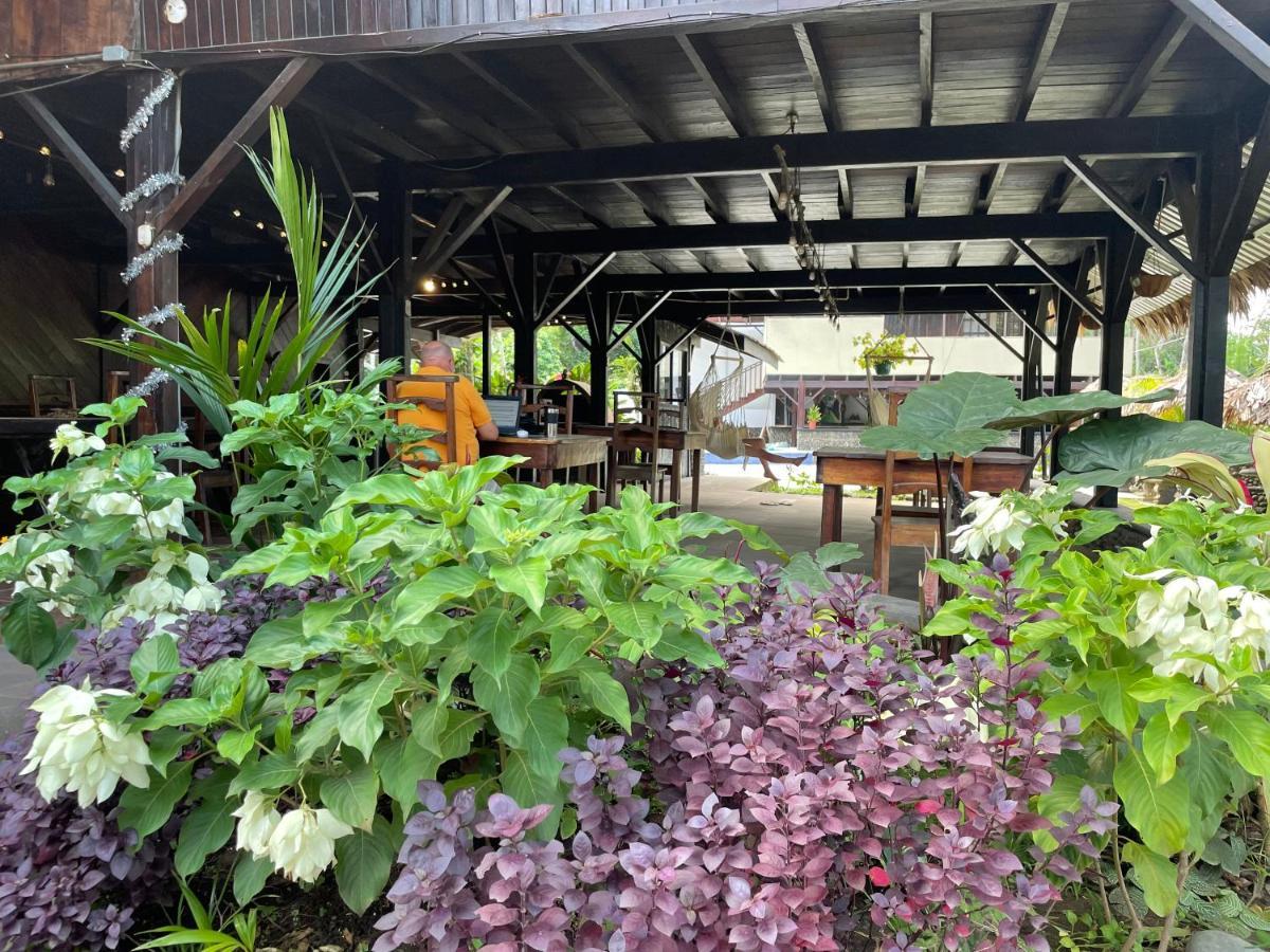 Perla Negra Beachfront Puerto Viejo de Talamanca Екстер'єр фото