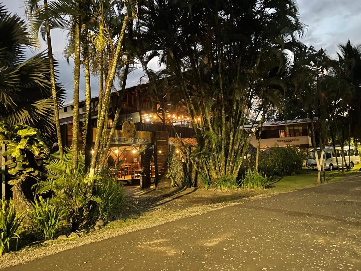 Perla Negra Beachfront Puerto Viejo de Talamanca Екстер'єр фото