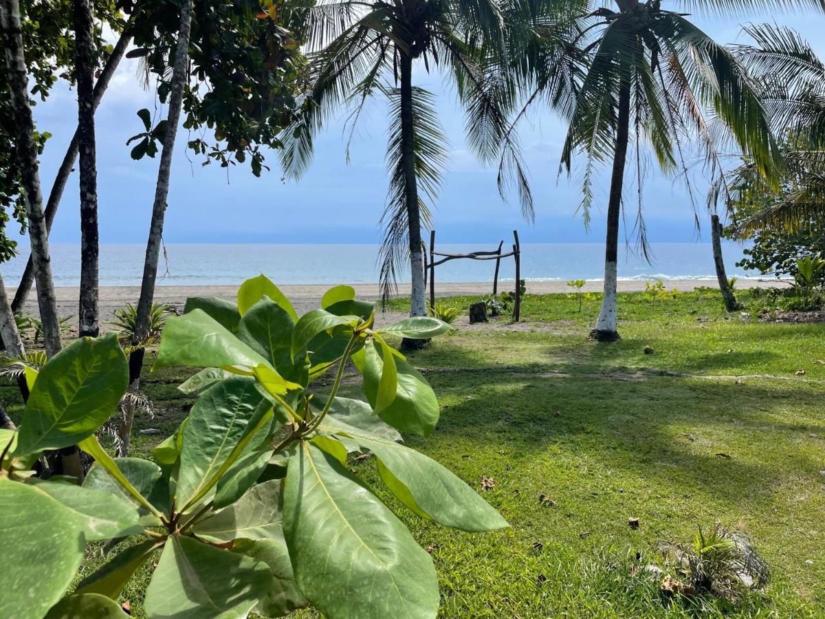 Perla Negra Beachfront Puerto Viejo de Talamanca Екстер'єр фото