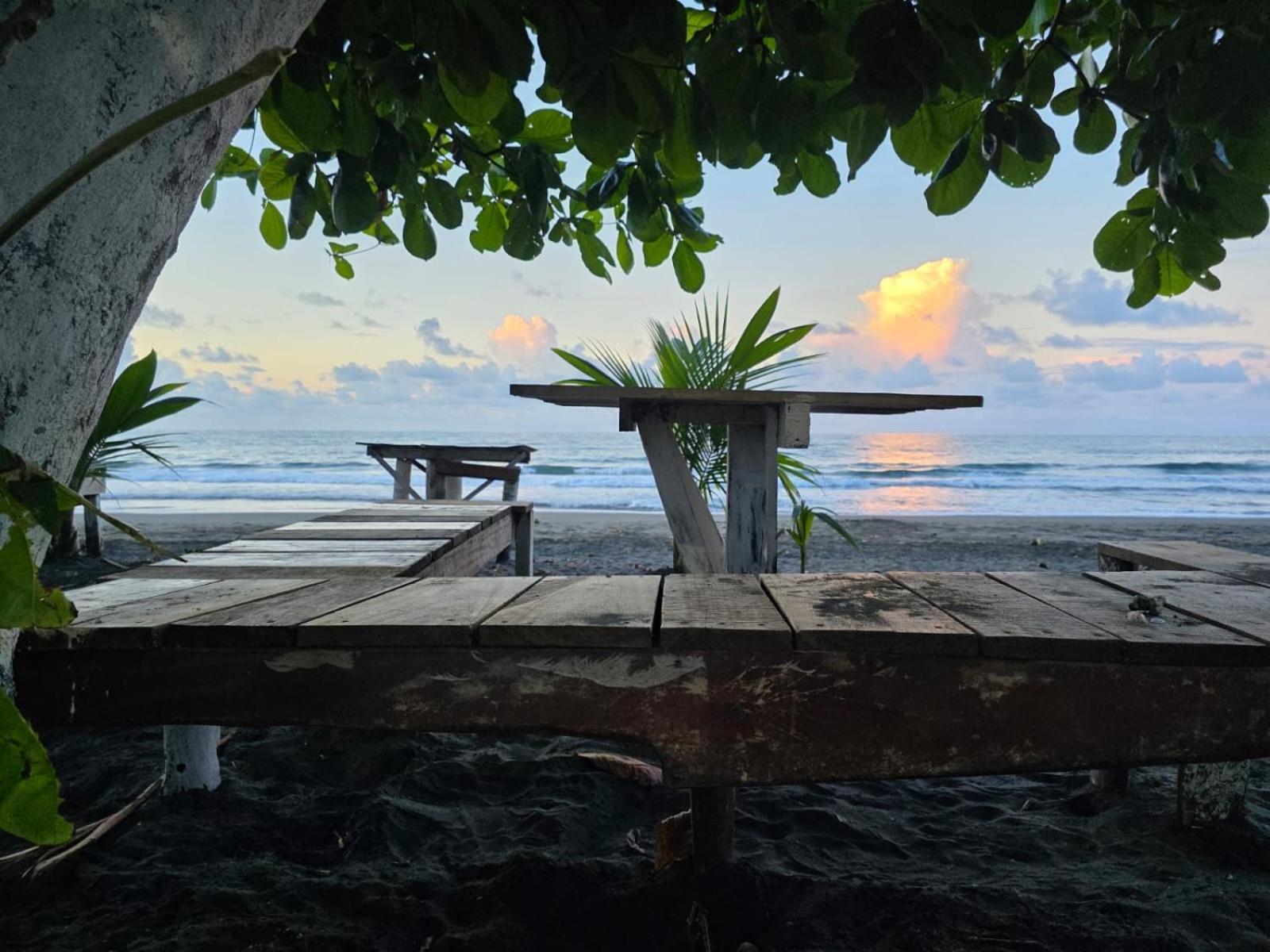 Perla Negra Beachfront Puerto Viejo de Talamanca Екстер'єр фото